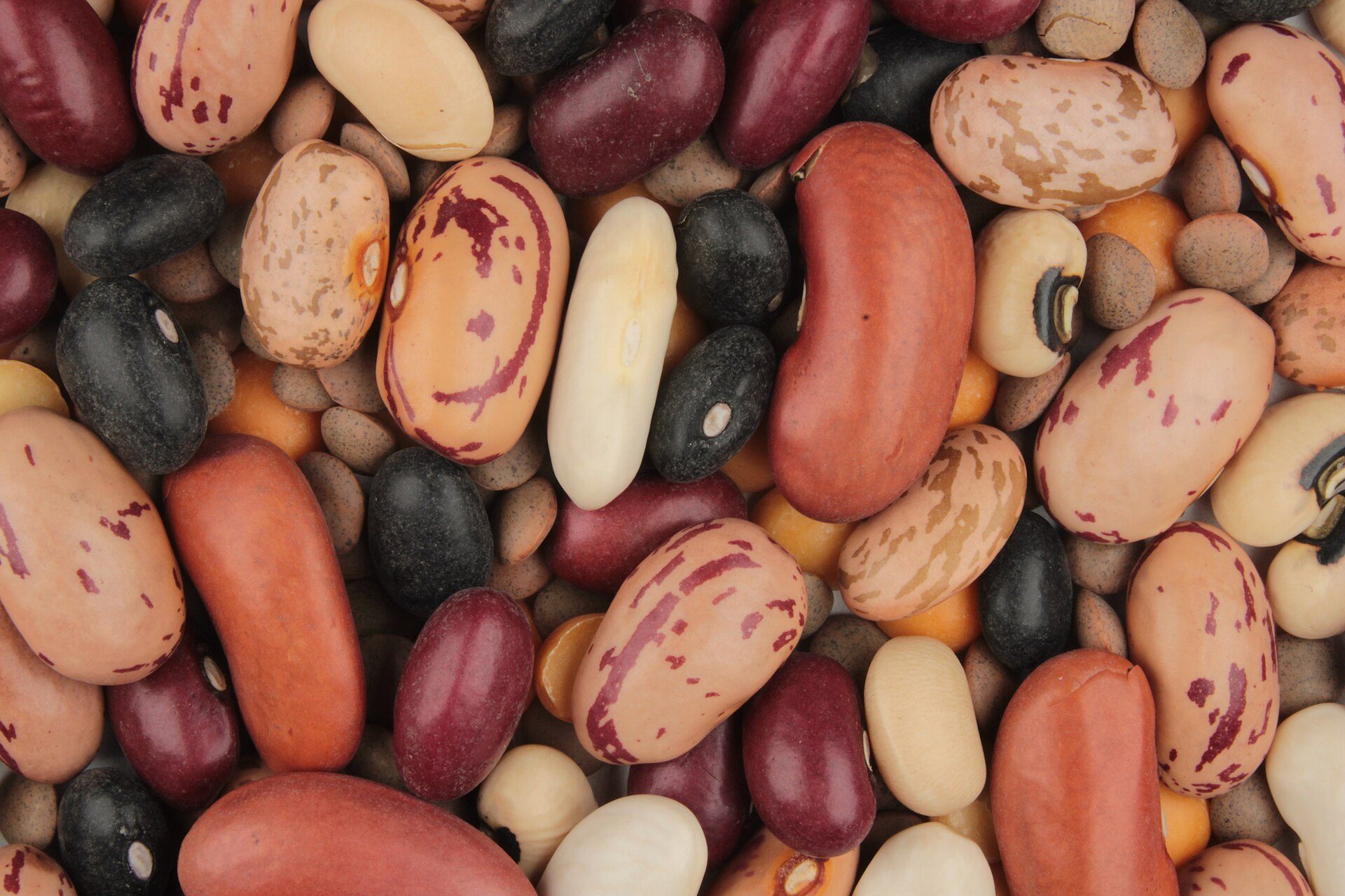 High-Protein, High-Fiber Foods: 4 Foods Do Both, 11 Have 0 g Fiber