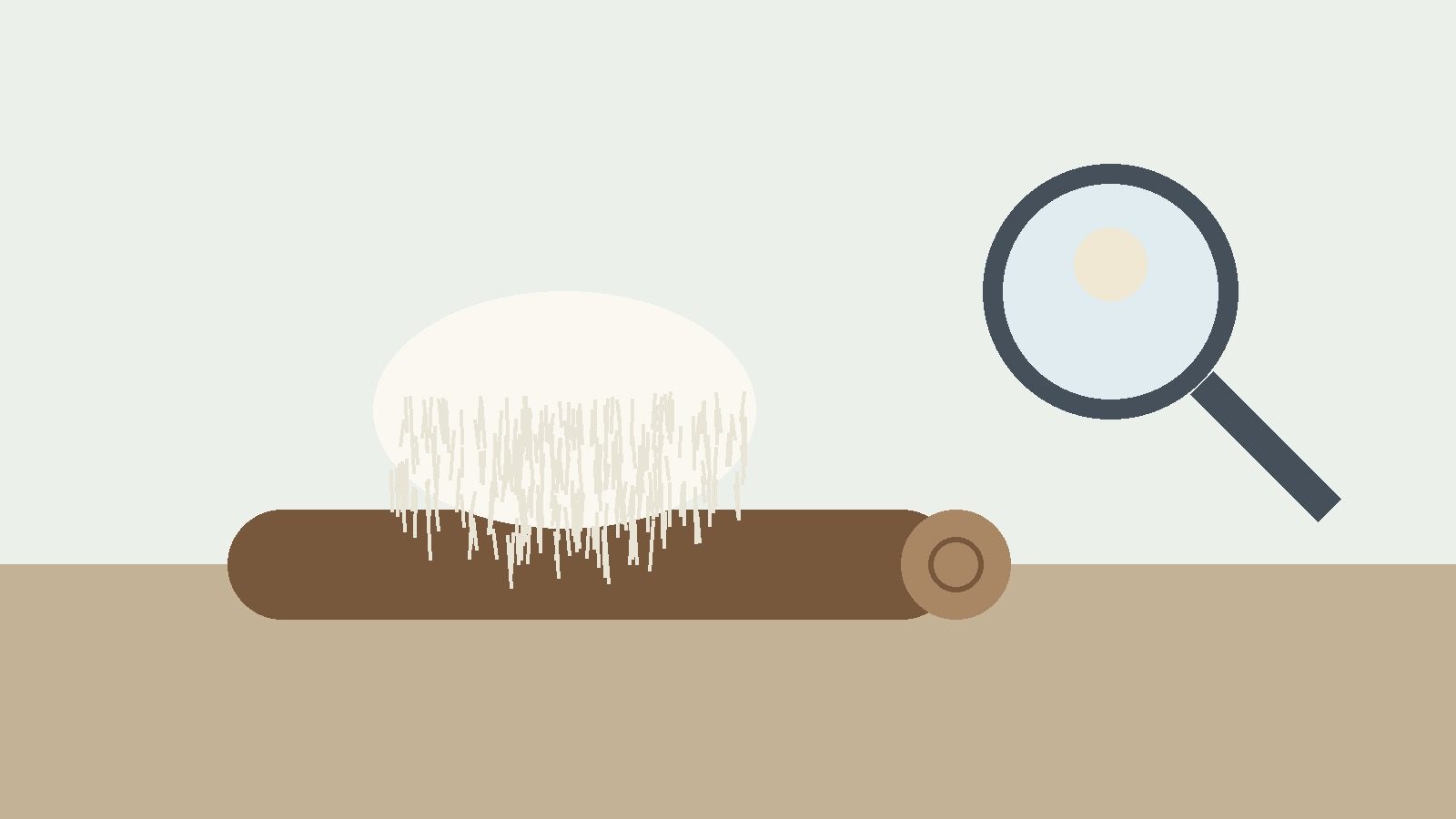 Lion’s Mane Side Effects: 10 Trials, 3 Reported Safety Results